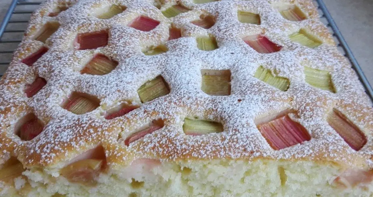 Puszyste jogurtowe ciasto z rabarbarem, posypane cukrem pudrem, z widocznymi kawałkami rabarbaru w kratkę.
