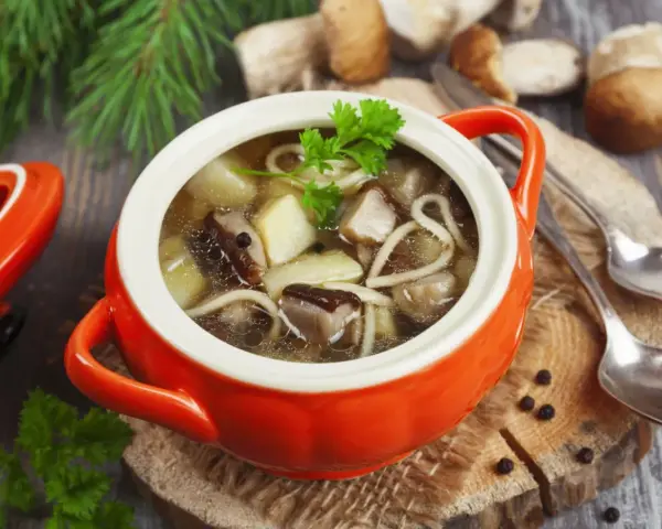 Aromatyczna zupa grzybowa ze świeżych grzybów, podana w pomarańczowym naczyniu, z gałązką natki pietruszki.