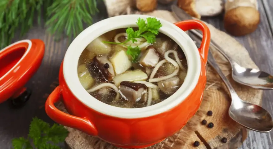 Aromatyczna zupa grzybowa ze świeżych grzybów, podana w pomarańczowym naczyniu, z gałązką natki pietruszki.